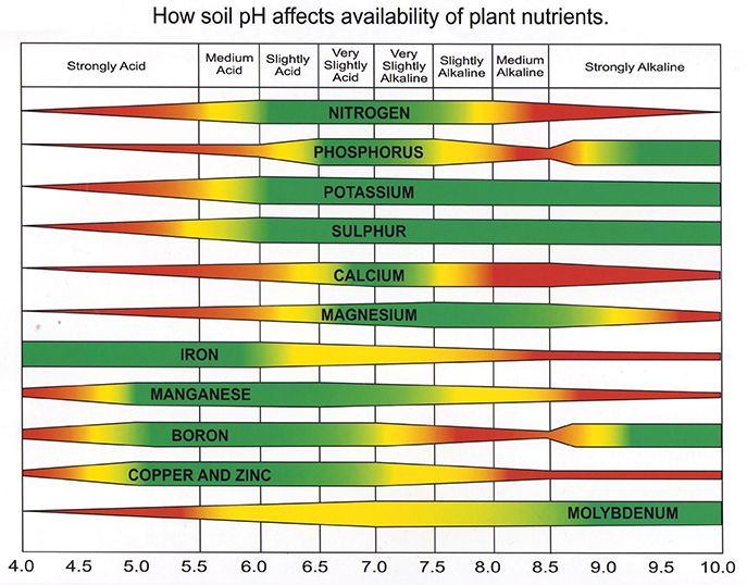 Fertilizer Compatibility Chart